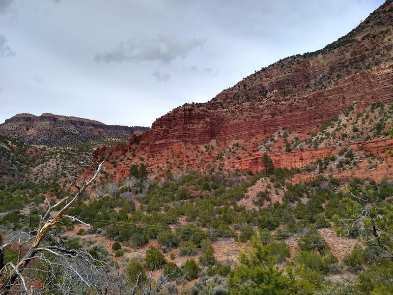 The Canyon That Sets The Stage