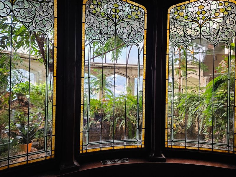 The Conservatory And Its Quiet Charm