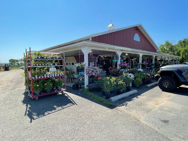 A Farm With Deep Roots And A Long Memory