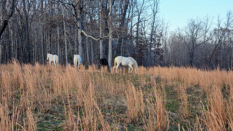 Best Times To Visit And What To Expect