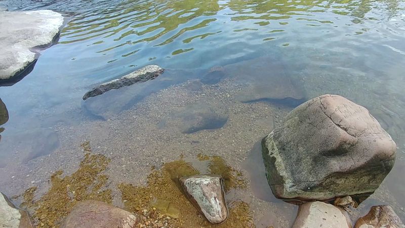 What To Pack For A Full Day At The Shut-Ins