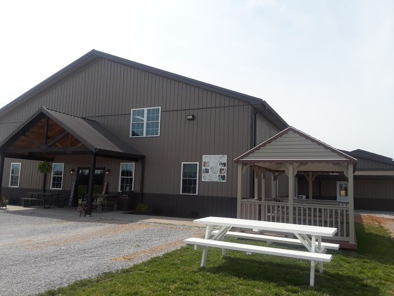 Steaks That Make Home Grilling Feel Like A Special Occasion