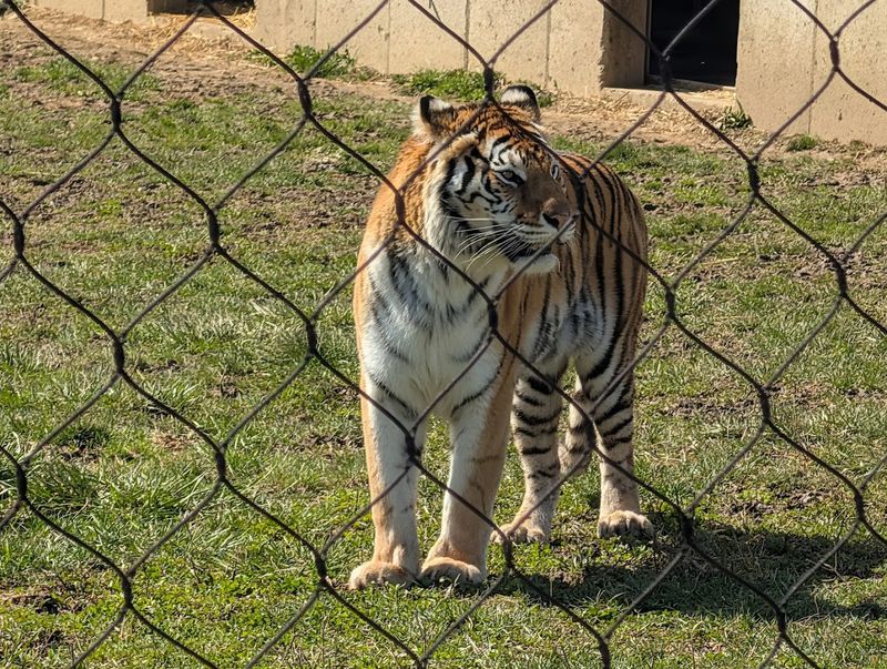 Walking Areas And Extra Attractions