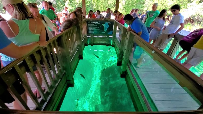 The Raft Ride You Will Never Forget