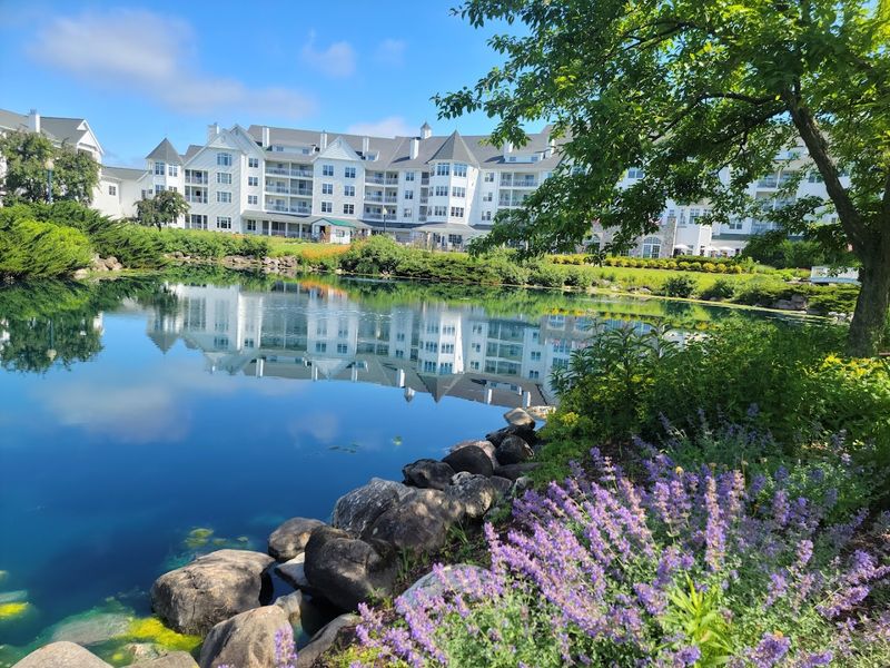 The Shoreline In Every Season Tells A Different Story