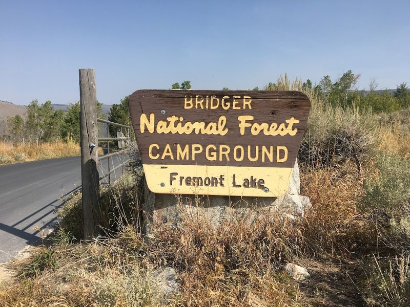 Camping Under Stars That Actually Impress