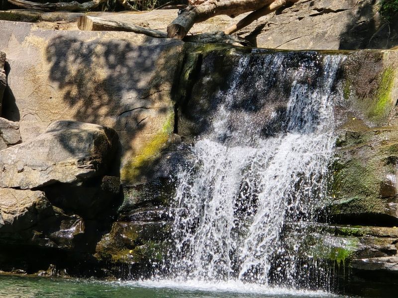 The Bonus You Did Not See Coming