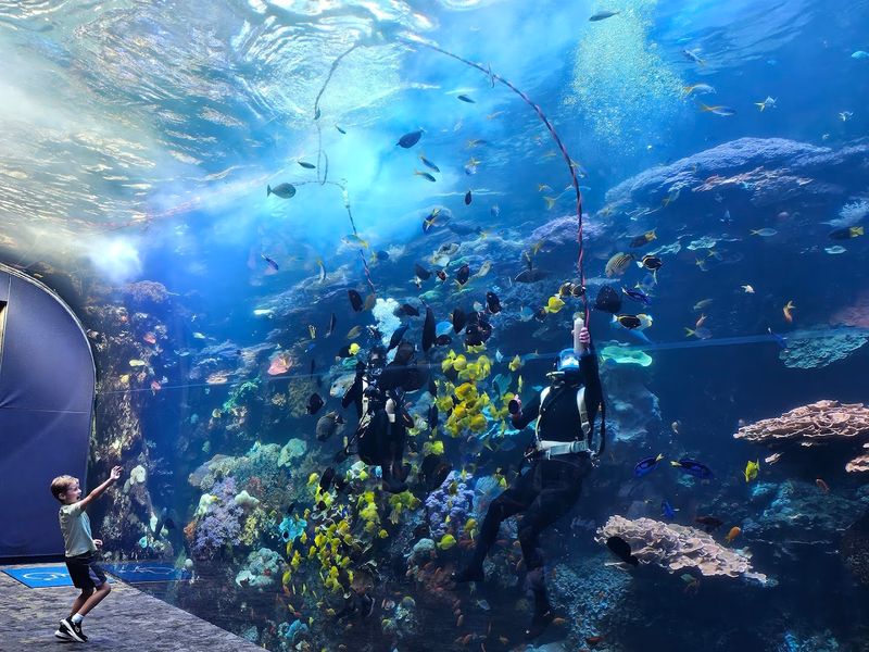 The Exhibit That Rewrites The Rules