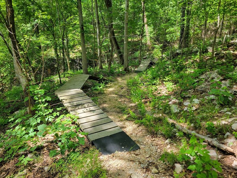 Hiking Trails Through Bluffs And Forests