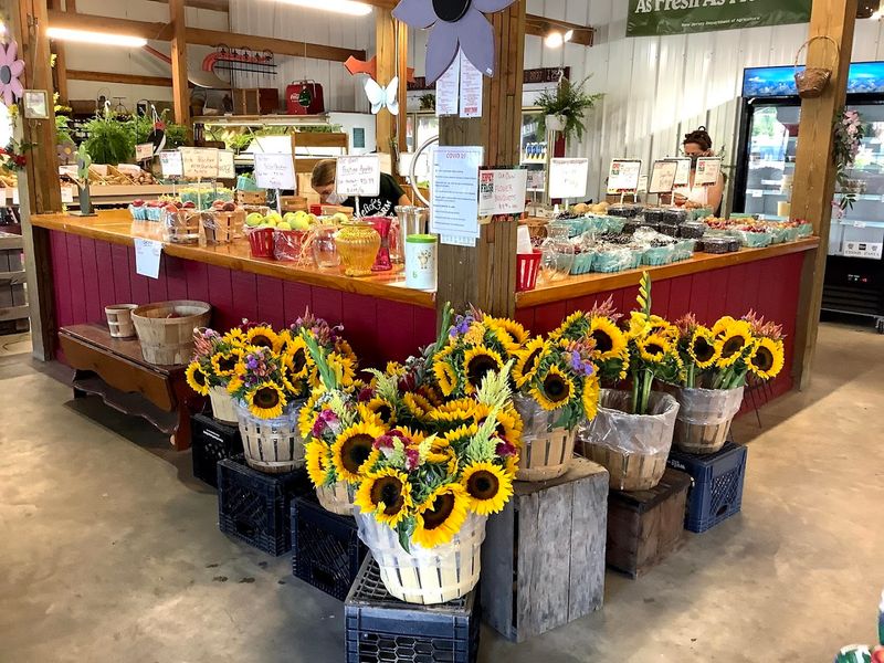 Farm Animals That Make Kids Absolutely Forget About Their Phones