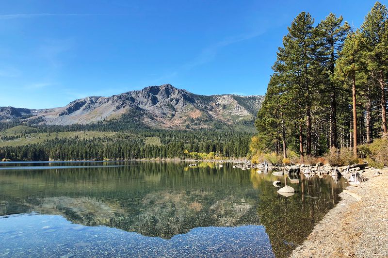 What To Know Before You Go