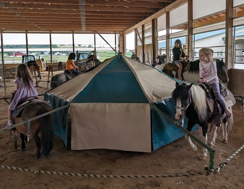 Animals On The Farm Make It Fun For Families