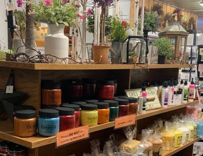 A Shopping Experience That Goes Beyond Groceries