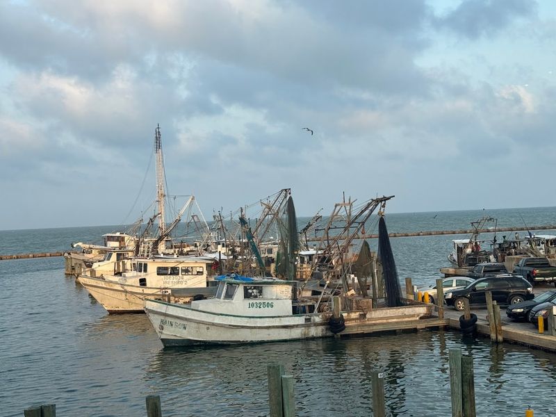 Kayaking And Paddleboarding Through Coastal Wetlands
