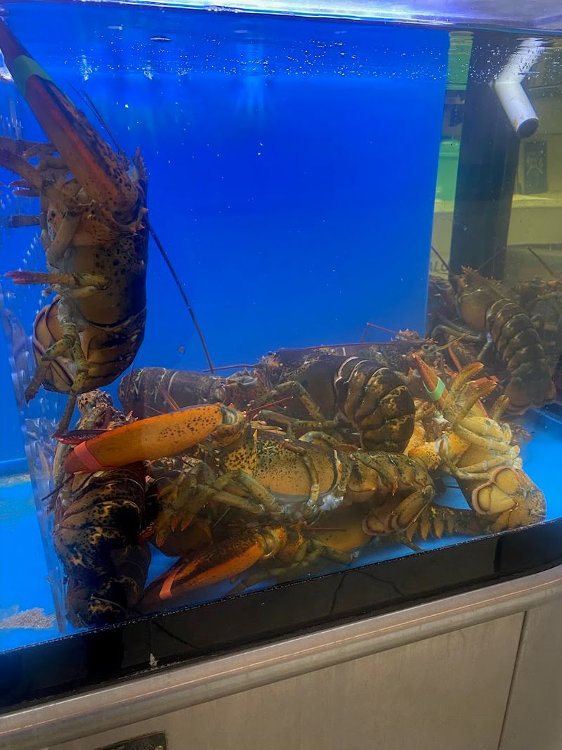 The Difference You Can Taste In Truly Fresh Seafood