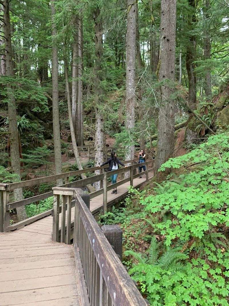 How To Get There And Plan Your Visit