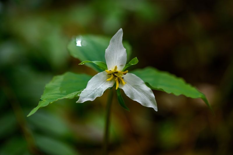 Some Things You Should Keep In Mind