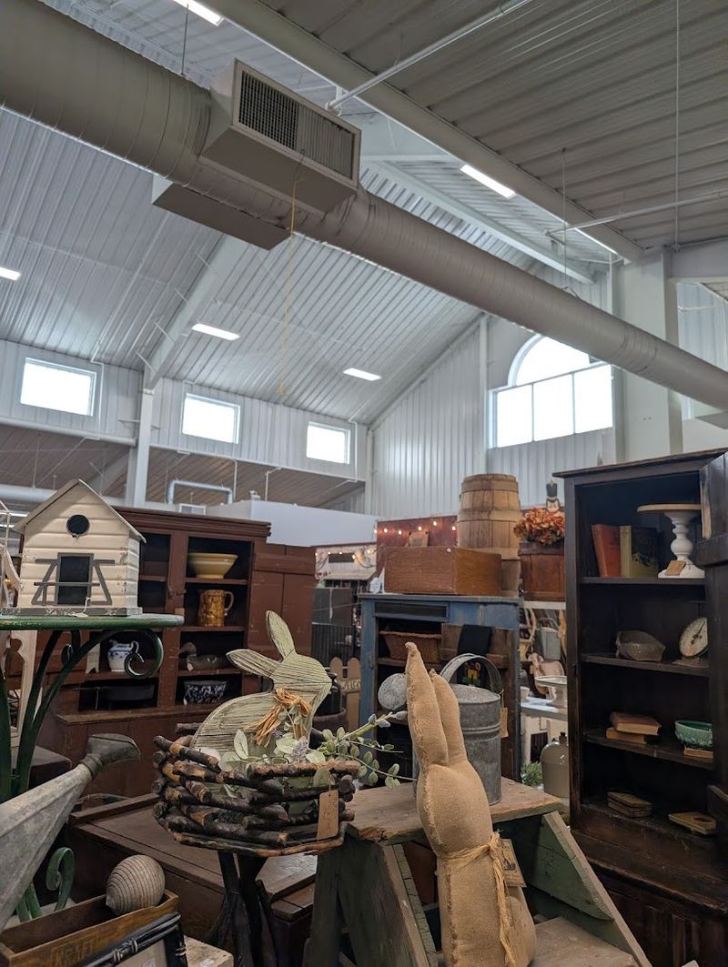 Why Treasure Hunters Keep Returning