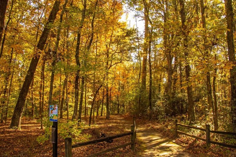 The Best Time Of Year To Visit