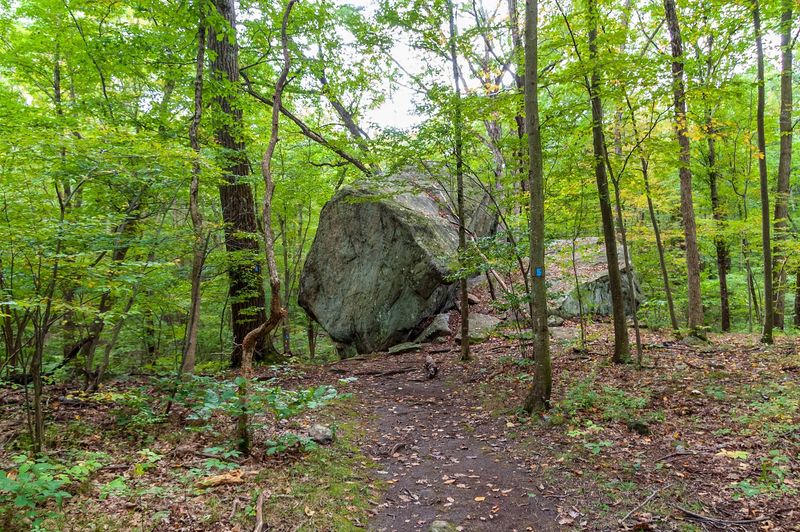 The Trail System And How To Read It