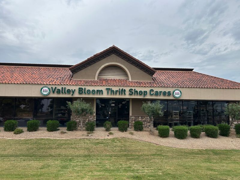 Valley Bloom Thrift Shop
