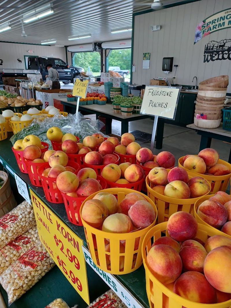 Spring Valley Sorghum Mill