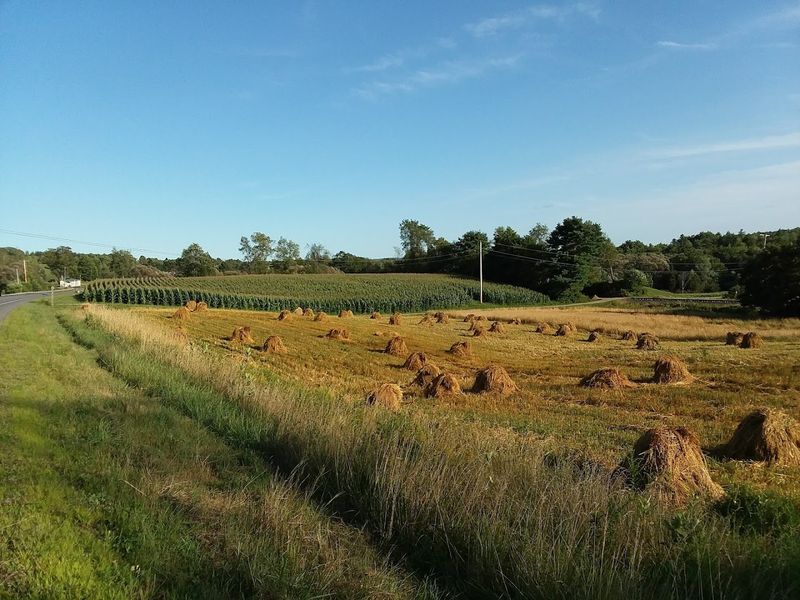 Why Unity, Maine Is The Perfect Setting