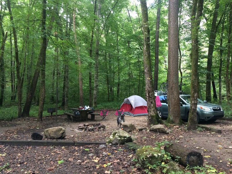 Camping Right Next To The Falls