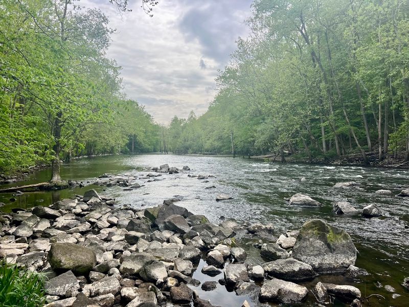 Fishing Along The Croton River