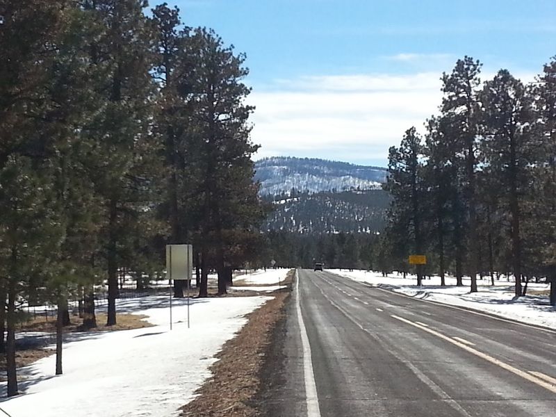 Wildlife Watching In The White Mountains