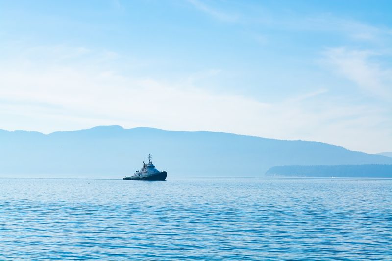 The Wild Beaches You Were Not Expecting