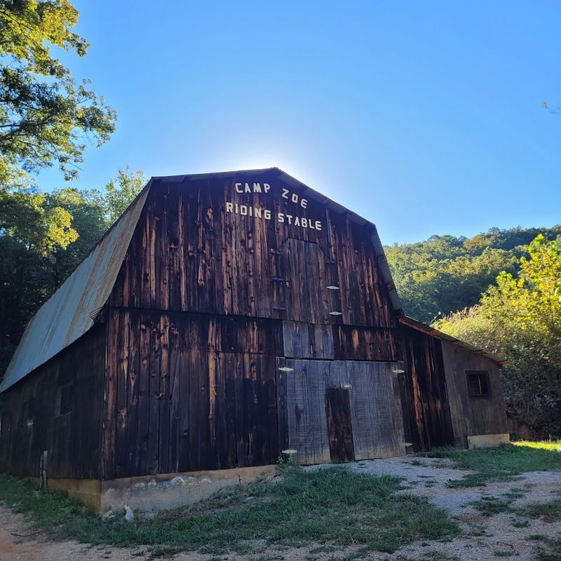 Wild Horses On The Trail