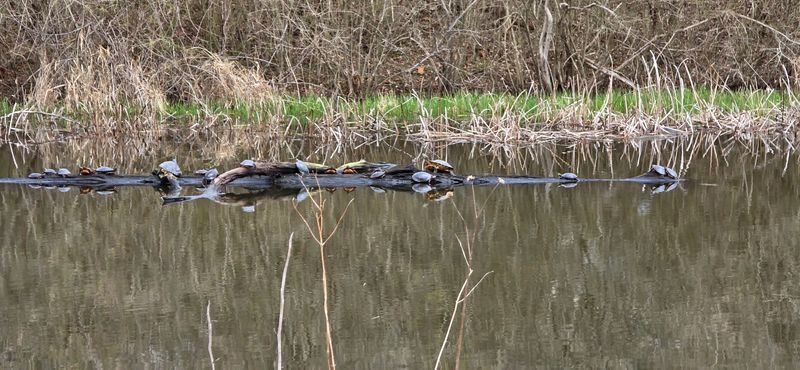 Cuyahoga Valley National Park