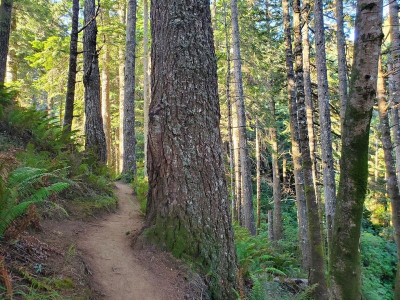 Why This Trail Stays With You Long After You Leave