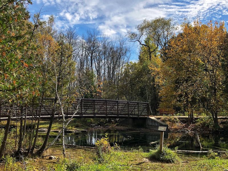 Practical Tips For Your Visit