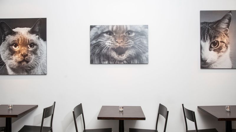 Dream Stop For Families And Solo Travelers