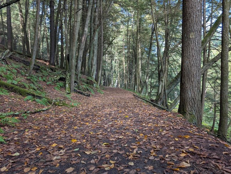 The Longfellow Trail And Where To Start Walking