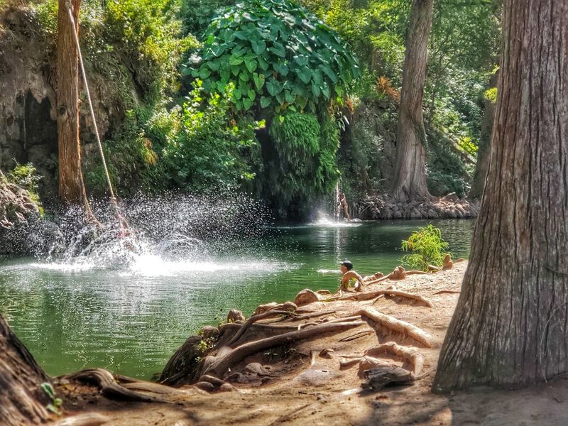 Swimming Spots For Every Comfort Level