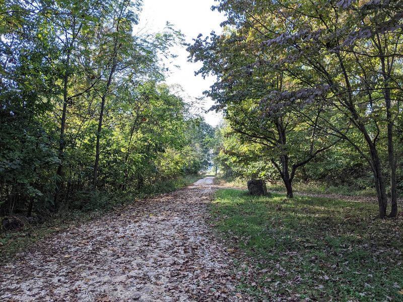 The Sounds And Atmosphere Of The Gulf