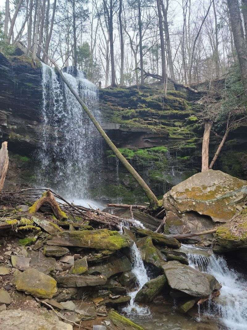 Perfect For Families, Couples, And Solo Explorers