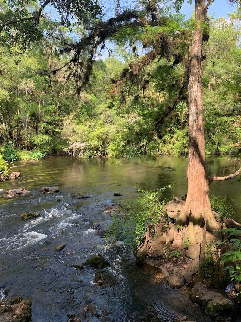 Perfect Picnic Spots Along The Path