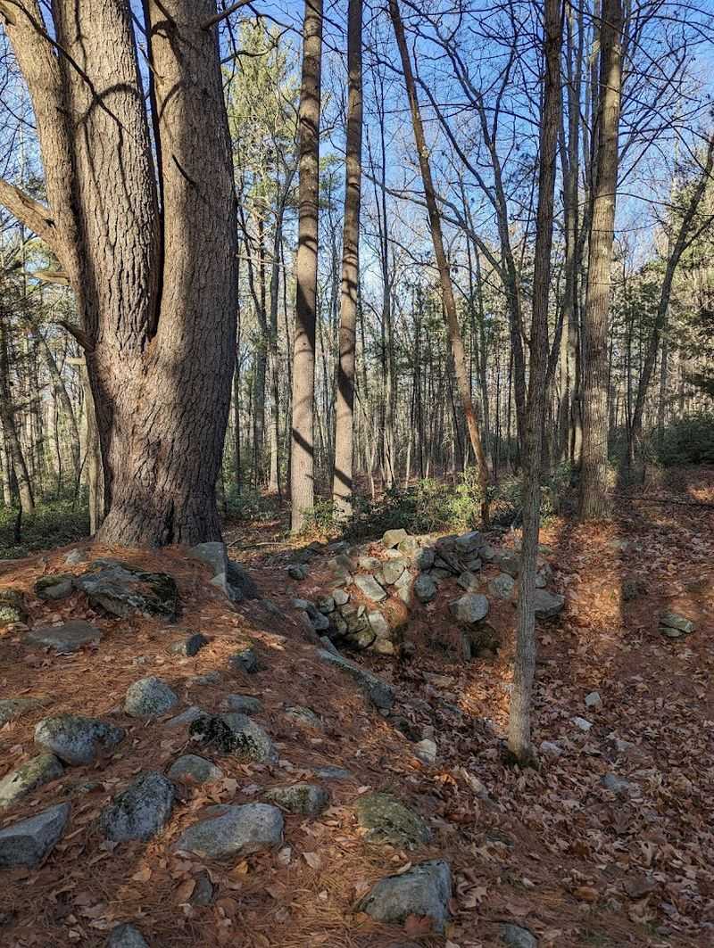 The 1998 Rescue That Saved The Site Forever