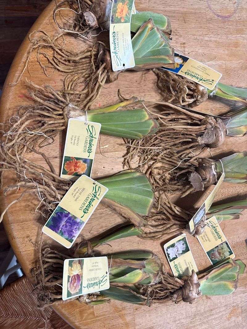 Taking The Beauty Home