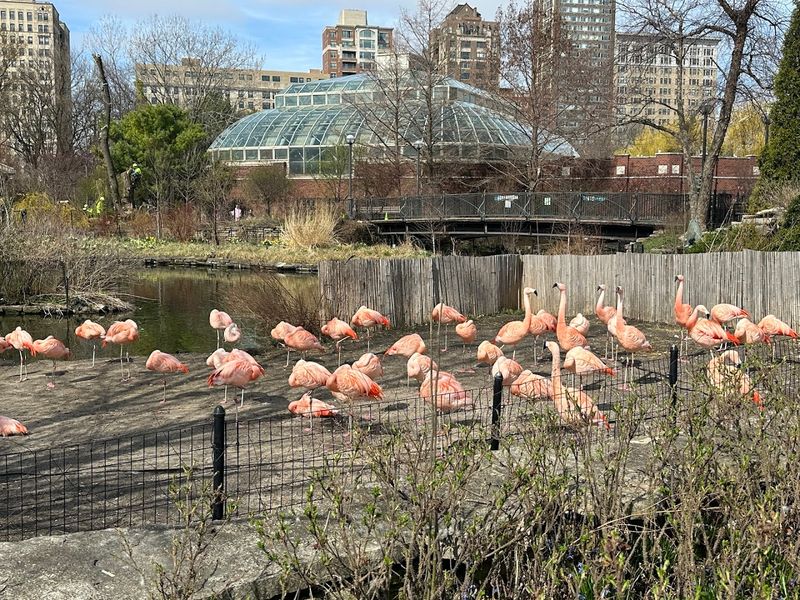 A Zoo That Has Stood The Test Of Time
