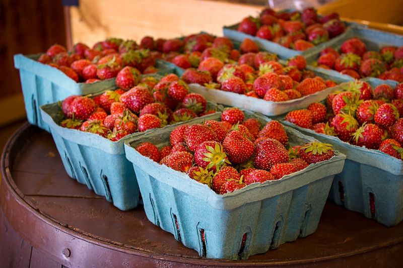 Organic Snacks And Packaged Goods Worth Checking
