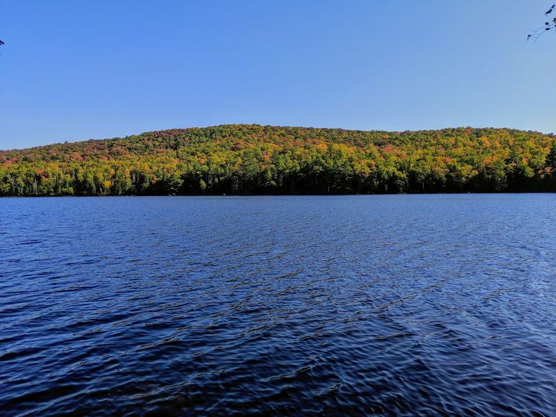 The Local Character Of Groton And What Makes It Worth Knowing