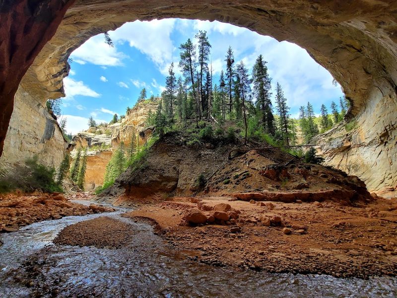 Ashdown Gorge Trail, Cedar City