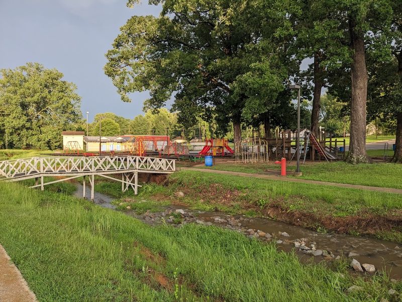 The Pink Tomato Festival And The Spirit Of Community Celebration