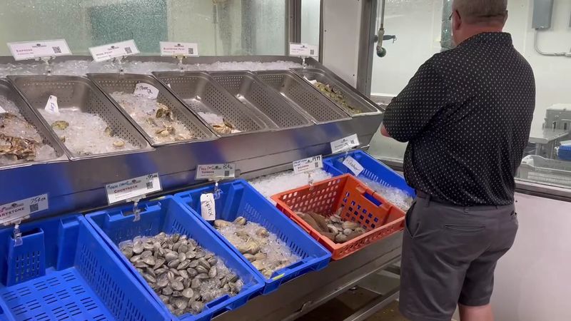 Mussels From Downeast Maine And Beyond