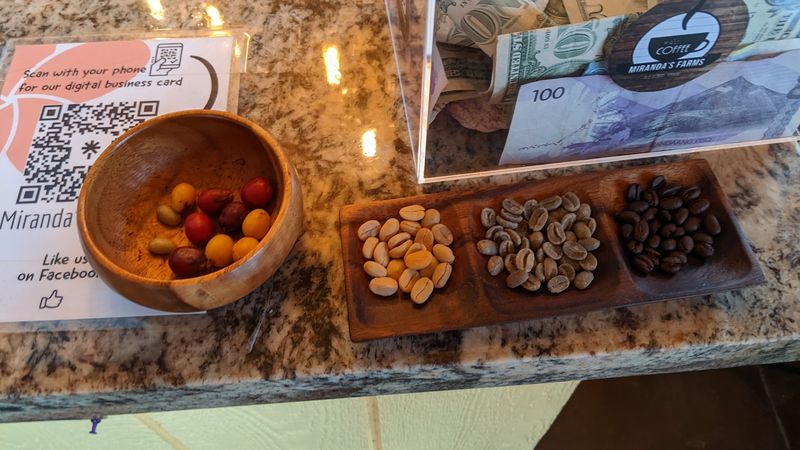 Different Roasts To Try Before You Choose